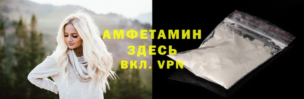 прущие грибы Белокуриха