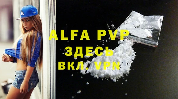 прущие грибы Белокуриха