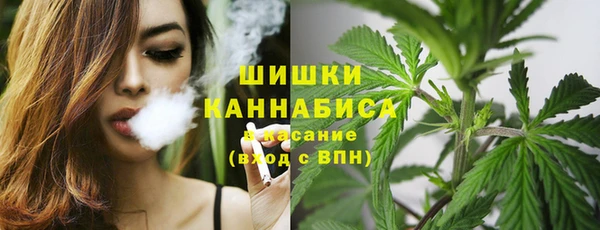 прущие грибы Белокуриха