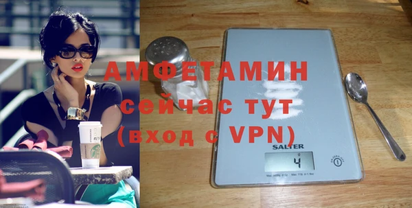 прущие грибы Белокуриха