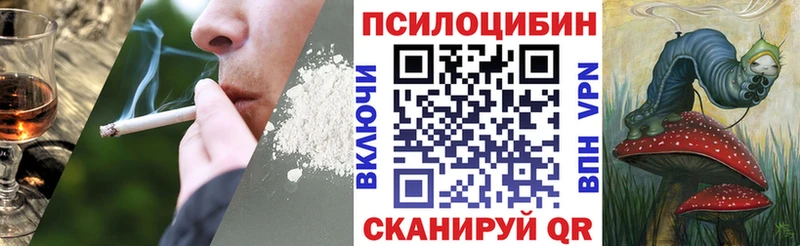 купить наркотик  Жуковка  Галлюциногенные грибы Psilocybe 