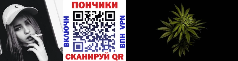 магазин продажи   Жуковка  Каннабис ГИДРОПОН 